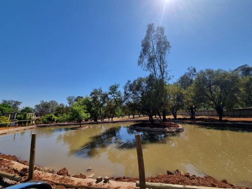 Untitled design (38)